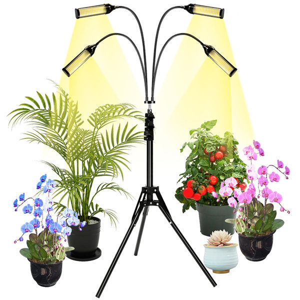 lemonbest Grow Light With Tripod Stand Led Floor Grow Light Intelligent